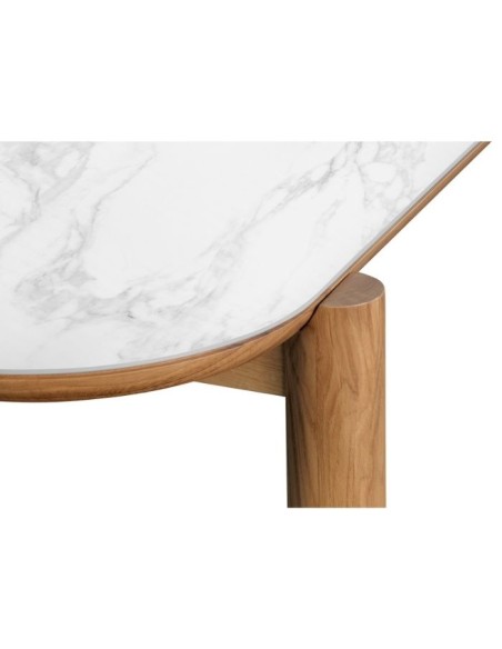 REFLECTIONS Dining Table Homad