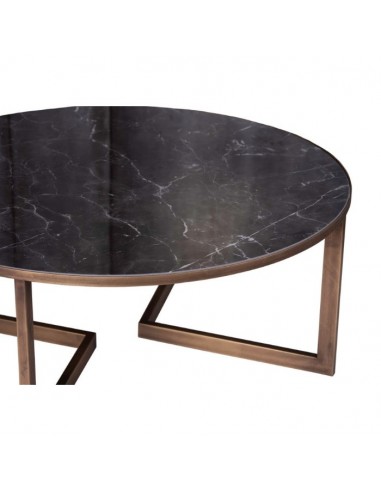 PALM3 Coffee Table Table2B