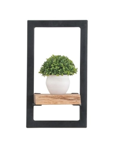 LIZARD Wall Frame 20x25x35 Acacia...