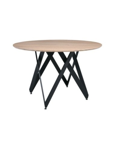 ROD Round Dining Table Φ120cm Steel...