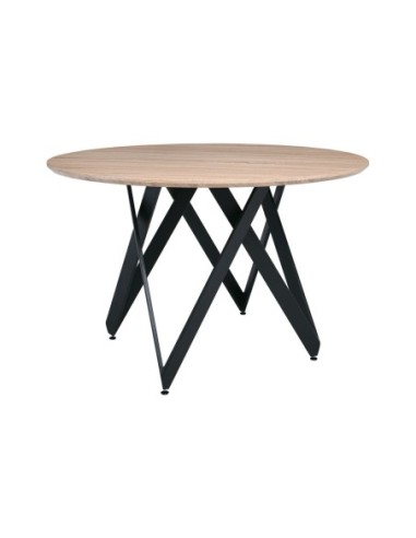 ROD Round Dining Table Φ120cm Steel...