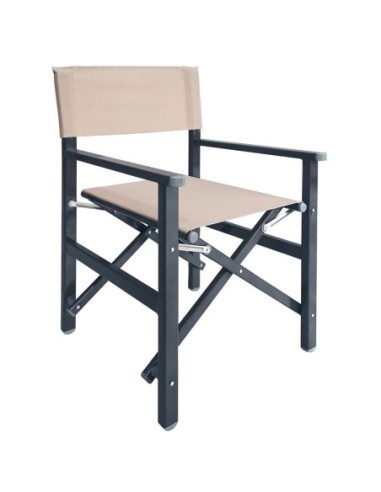 Director Armchair, Aluminium...