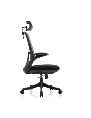 BF3950 Πολυθρόνα Γραφείου Διευθυντή,...