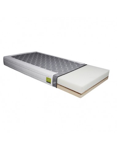 FLEXY Support Base Media Strom