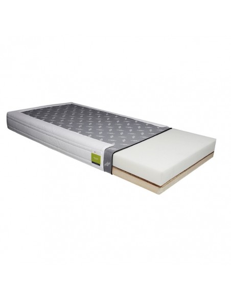 FLEXY Support Base Media Strom