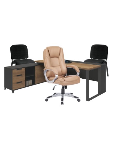 Professional Office Furniture Pack...