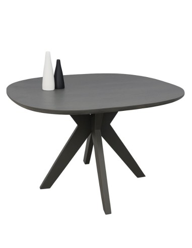 ART2145 Kitchen Table Artline