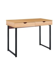 PC Metal Desk (2 drawers)...