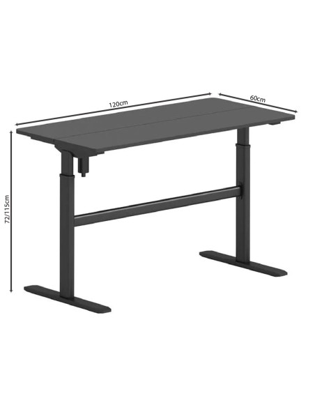 LEVEL Electric Height adjustable Desk, Black