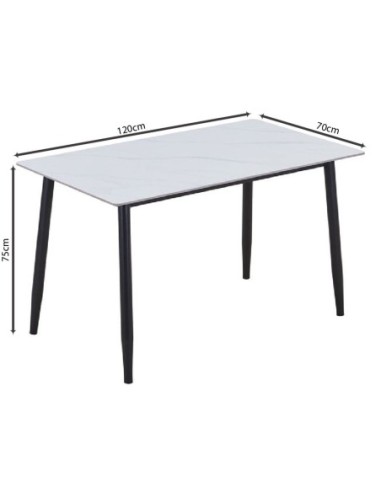 OSLO Dining Table 120x70cm Metal...