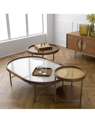 REFLECTIONS Coffee Table Homad