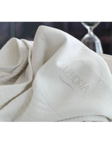 EUPHORIA PROTECTIVE Media Strom...