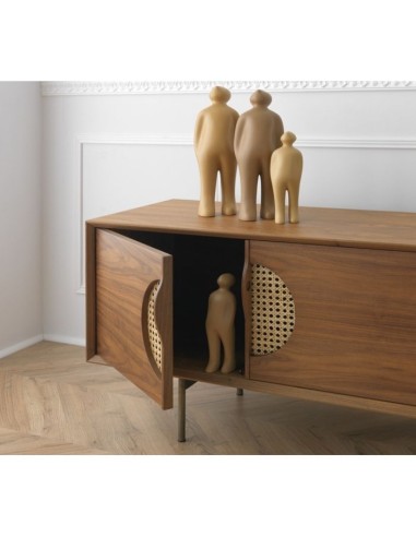 REFLECTIONS TV Unit Homad