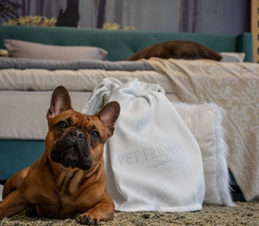 Petfriendly-kalymma-strwmatos-mediastrom-artline-epipla-argos