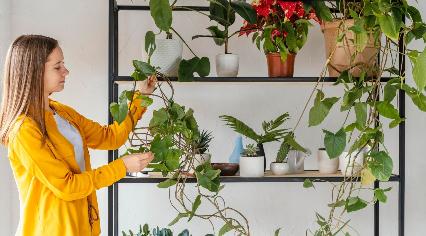 Biophilic 2.0: Συνδυάζοντας τη γήινη στροφή στη διακόσμηση με τεχνολογίες smart home | Artline | Έπιπλα Άργος