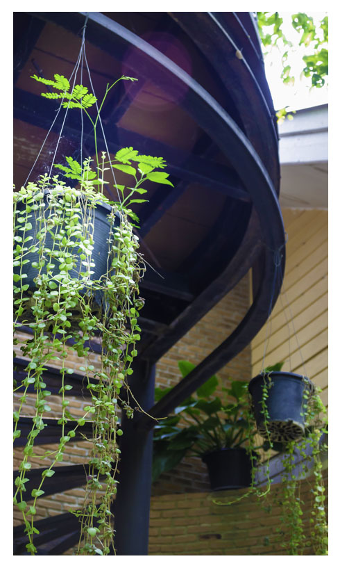 Biophilic Design | Βιοφιλικός σχεδιασμός | Artline | Έπιπλα Άργος