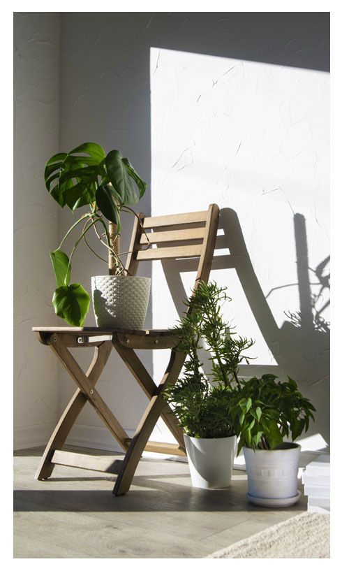 Biophilic Design | Βιοφιλικός σχεδιασμός | Artline | Έπιπλα Άργος
