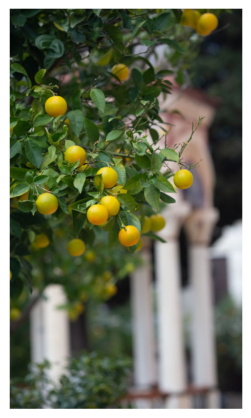 Άνοιξη και διακόσμηση κήπου | Artline | Έπιπλα Άργος