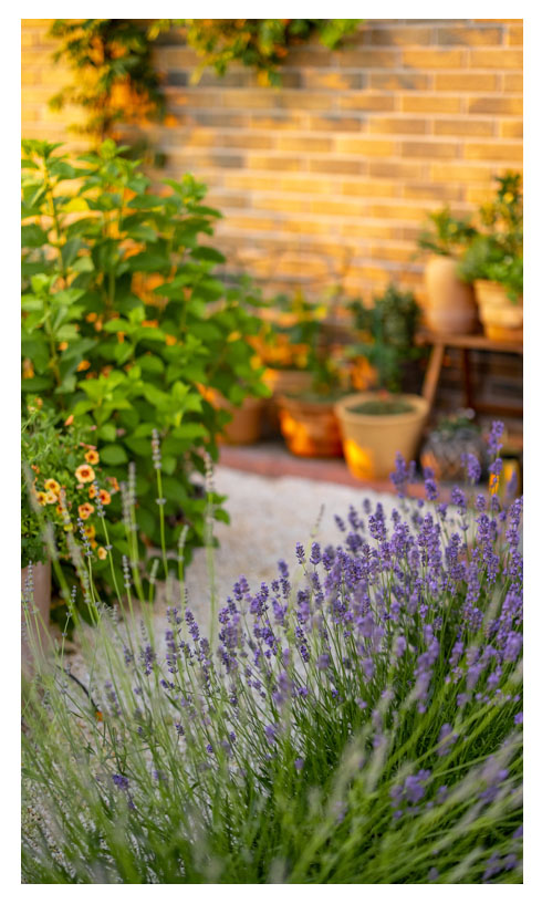 Άνοιξη και διακόσμηση κήπου | Artline | Έπιπλα Άργος